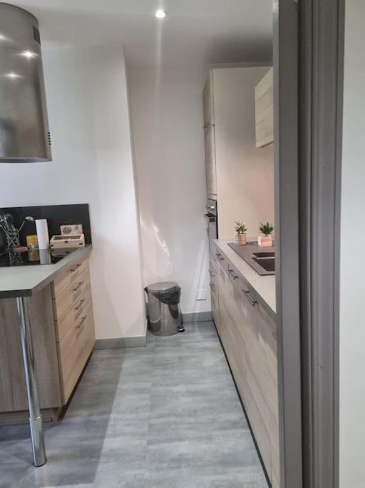 L'Ourse, Epinal,Tres Bel Appartement Quartier Port Eksteriør bilde