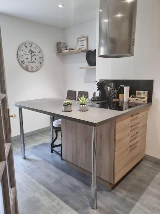 L'Ourse, Epinal,Tres Bel Appartement Quartier Port Eksteriør bilde