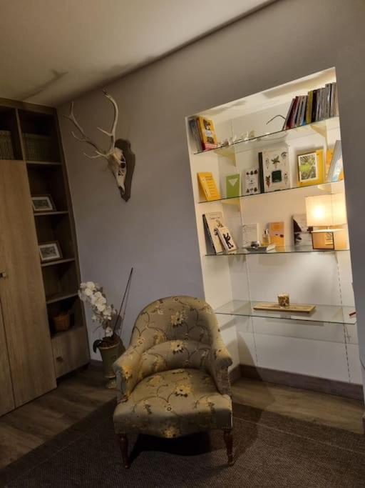 L'Ourse, Epinal,Tres Bel Appartement Quartier Port Eksteriør bilde